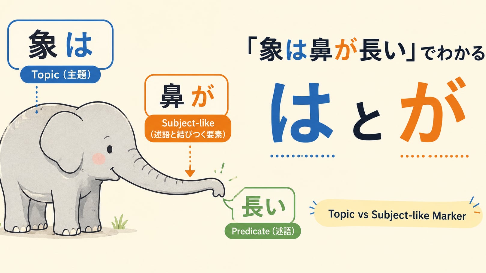 Understanding は and が: Why 象は鼻が長い Works